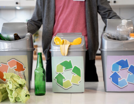 Perbedaan Sampah Organik dan Anorganik