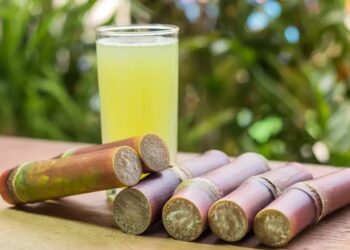 Tebu Termasuk Buah atau Sayur? Ini Jawaban Lengkap